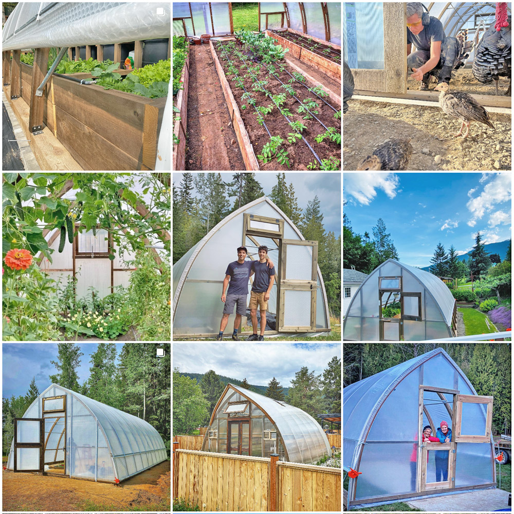 Argenta-Greenhouse-Instagram-Feed-Images Argenta-Greenhouse-Instagram-Feed-Images